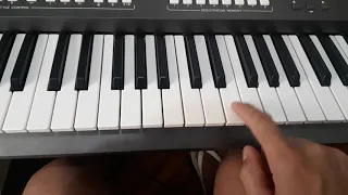 video aula da música (se namorar fosse bom) barões da pisadinha no teclado