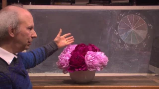 How To Make a Quick and Easy Peony Centerpiece