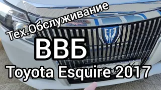 Тех обслуживание ВВБ Toyota Esquire 2017