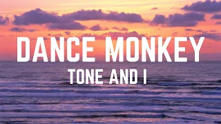 Tones and i Dance Monkey lyrics (Sera cover)