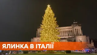 Обошлась в €140 тыс.: в Риме засияла новогодняя елка