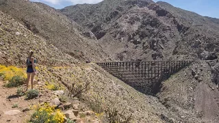 The Goat Canyon Trestle - The World's Largest Wooden Railroad Trestle