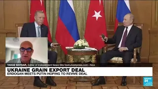 'Strategic friendship' on full display as 'autocratic' leaders Putin, Erdogan debate grain corridor