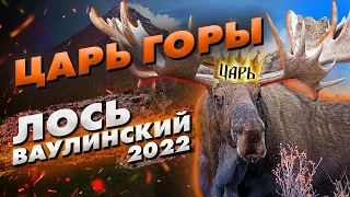 ЦАРЬ ГОРЫ / ВАУЛИНСКИЙ ЛОСЬ /КРОСС КАНТРИ / ВЕСНА 2022