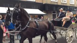 Koetsenparade Sluis 2014