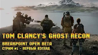 Tom Clancy's Ghost Recon® Breakpoint Open Beta - Стрим 1 (Первый взгляд)