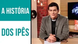 A HISTÓRIA DOS IPÊS | #IPVM