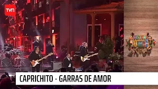 Caprichito - Garras de amor | Olmué 2020