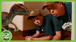 Do You Know What the Mystery Pet Is?! | T-Rex Ranch Dinosaur Videos for Kids