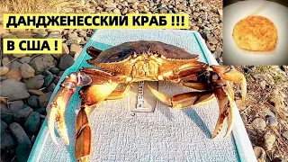 КРАБАЛКА НА САМЫЙ ВКУСНЫЙ КРАБ В США ! РЕЦЕПТ КОТЛЕТ ИЗ КРАБОВ. DUNGENESS CRAB.