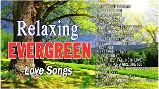 Relaxing Oldies music 💚💚 Tommy Shaw David Pomeranz Dan Hill Kenny Rogers 💥 Cruisin Love Songs