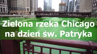 Dzien sw Patryka w Chicago to farbowanie rzeki Chicago na zielono i gotujemy potrawe irlandzka.