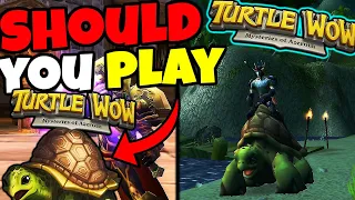 Should You Play Turtle WoW in 2023?