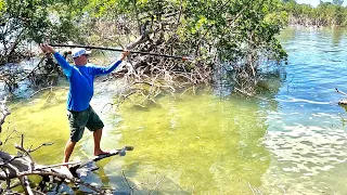 Primitive Fishing with a Hand Spear! (Catch Clean Cook)