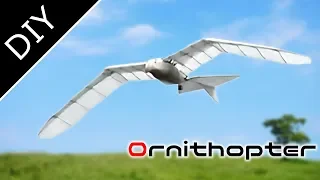 Amazing RC Ornithopter like a bird