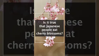 Do Japanese people eat cherry blossoms?