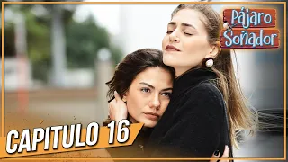 Pájaro soñador - Capitulo 16 (Audio Español - Larga Capitulo) | Erkenci Kuş