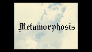 METAMORPHOSIS | a short film