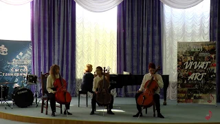 Конкурс Е Станковича Cello terzet 2019 04 06