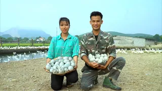 Duck Eggs Harvest At Farm ! Build Egg Incubator Underground ! 30 Days The Life of a Couple In Love