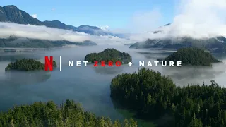 Netflix + Sustainability - Net Zero By the End of 2022