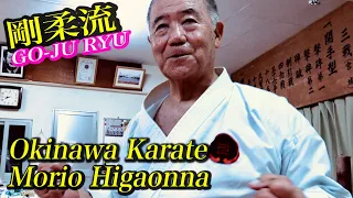 【Okinawa Karate】 Amazing Training! Secret of Sanchin-gami and Sashi【Morio Higaonna】