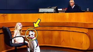 Little Girl Signals Her Dog. Judge Notices And Immediately Stops Court When Dog Reacts