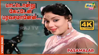 பாட்டொன்று கேட்டேன் பரவசமானேன் | 4K Video Song | Pasamalar | Sivaji | Savitri | Raj 4K Songs