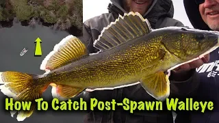 Post-Spawn Walleye in Wisconsin!