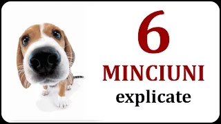 6 MINCIUNI explicate