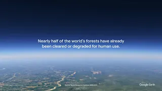 Our Forests  Timelapse in Google Earth | Save Our Forests