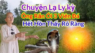 Chuyện Lạ Ly Kỳ 👉Ông Rắn Ói 3 Viên Đá - Cô Mười Hết Hồn Khi Thấy Rõ Ràng | Châu Phú Hảo Hòa