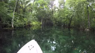 Silver River Silver Springs Florida Kayak in April