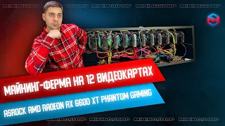 Обзор фермы на 12 видеокартах ASRock AMD Radeon RX 6600 XT Phantom Gaming, на майнинг эфира в 2022г