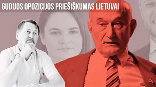 Gudijos opozicijos priešiškumas Lietuvai. Imantas Melianas