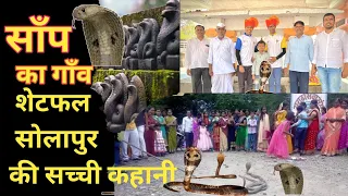 Cobra Snake Village - Shetphal Solapur Maharashtra India, Namaste Bharat Yatra #Ep-10