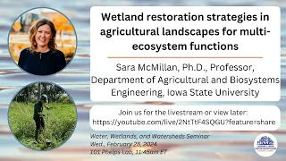 W3 seminar: Wetland restoration strategies in agricultural landscapes for multi-ecosystem functions