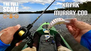 Kayak Murray Cod | The Full Scale