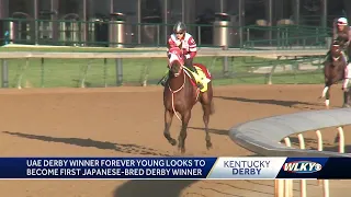 Forever Young could become 1st Japanese-bred horse to win Kentucky Derby