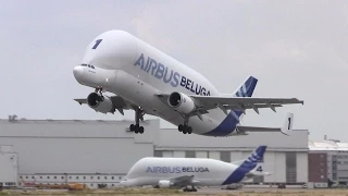 Airbus A300-600ST 'Beluga 1' ► Takeoff ✈ Finkenwerder Airport