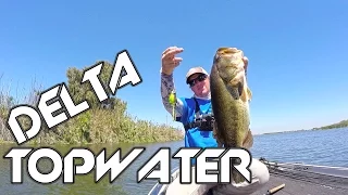 Bass Fishing: A Day On The Delta! Ft. Matt Leverich