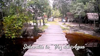 Sabanitas "La Voz del Agua" Guainía