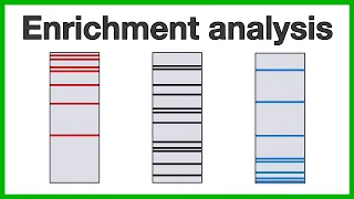 Enrichment analysis: A short introduction to the core concepts of gene set enrichment analysis