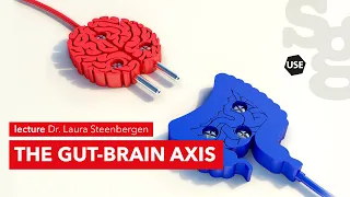 Watch online lecture | The gut-brain axis | Dr. Laura Steenbergen