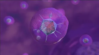 How COVID-19 Viral Vector Vaccines Work