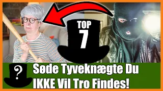 TOP 7 Søde Tyveknægte Du IKKE Vil Tro Findes!
