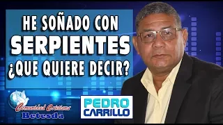 N° 088 "HE SOÑADO CON SERPIENTES ¿QUÉ QUIERE DECIR?" Pastor Pedro Carrillo
