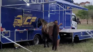 TODOS OS CAMINHÃES QUE ESTÃO NO PARQUE BEZERRA MARINHO PRA O VAIDE BET PORTAL