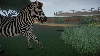 Zebra Habitat  | Planet Zoo Gameplay | Franchise Mode | Pt 5