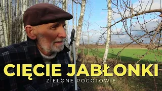 Cięcie jabłonki